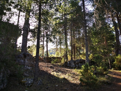 Callejones. Las Majadas__