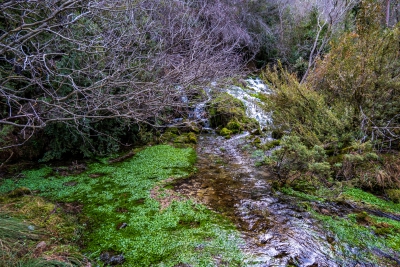 Nacimiento del Cuervo. Cuenca.-