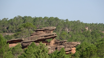 Miradores. Corbeteras. Pajaroncillo