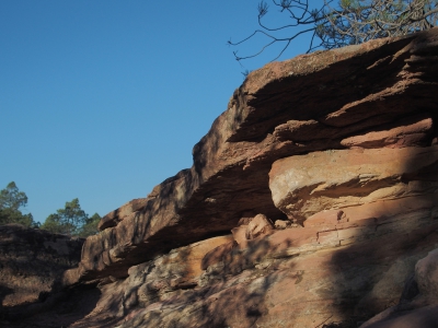 Corbeteras. Pajaroncillo