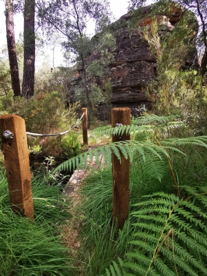 Villar del Humo. Selva Pascuala__