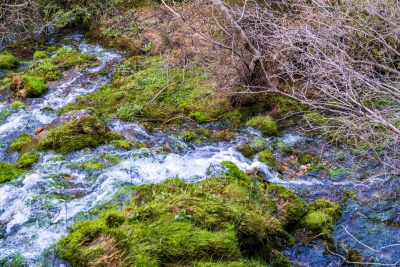 Nacimiento del Cuervo. Cuenca.-