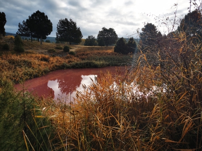 Lagunas de Cañada__