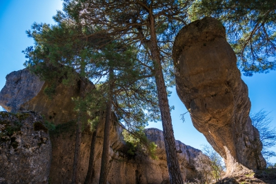 Ciudad Encantada. Cuenca.-