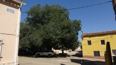 Collados. Sotorribas_