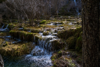 Nacimiento del Cuervo. Cuenca.-