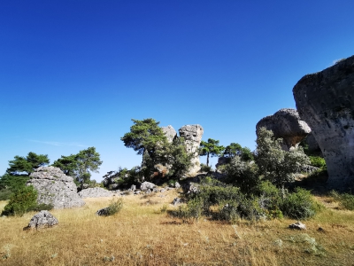 Callejones. Las Majadas__