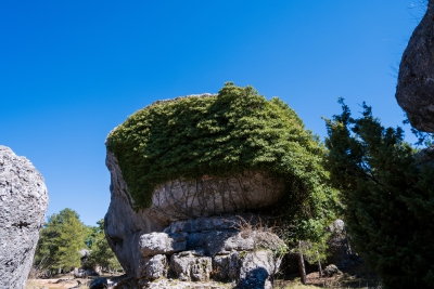 Ciudad Encantada. Cuenca.-