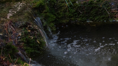 El Hosquillo. Las Majadas