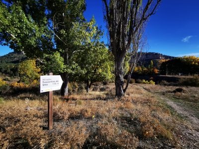 Mirador de Travertino. Uña.