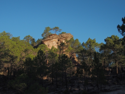 Corbeteras. Pajaroncillo