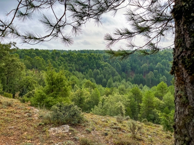 Las Torcas. Cuenca.- Las Torcas. Cuenca.-