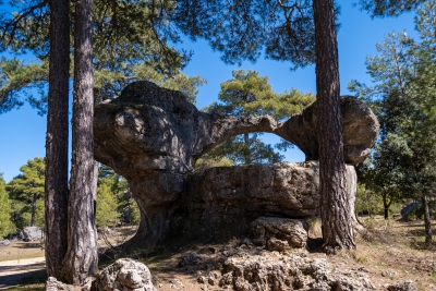 Ciudad Encantada. Cuenca.-