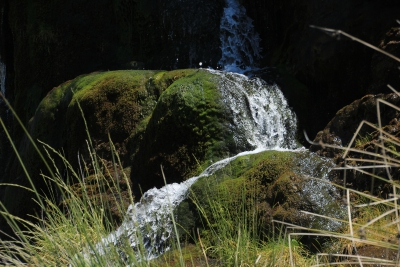 La Balsa. Valdemoro de la Sierra_
